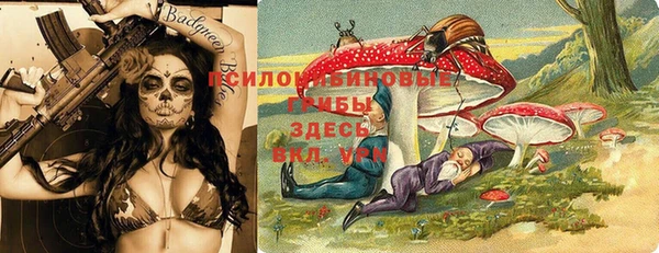 гашик Кодинск