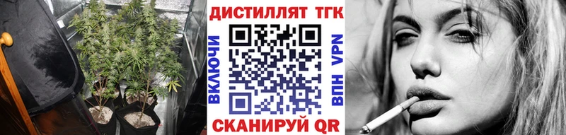 Купить где  Заозёрск  ТГК жижа 