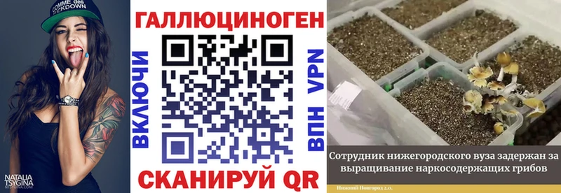 Галлюциногенные грибы прущие грибы  Купить закладки  Заозёрск 